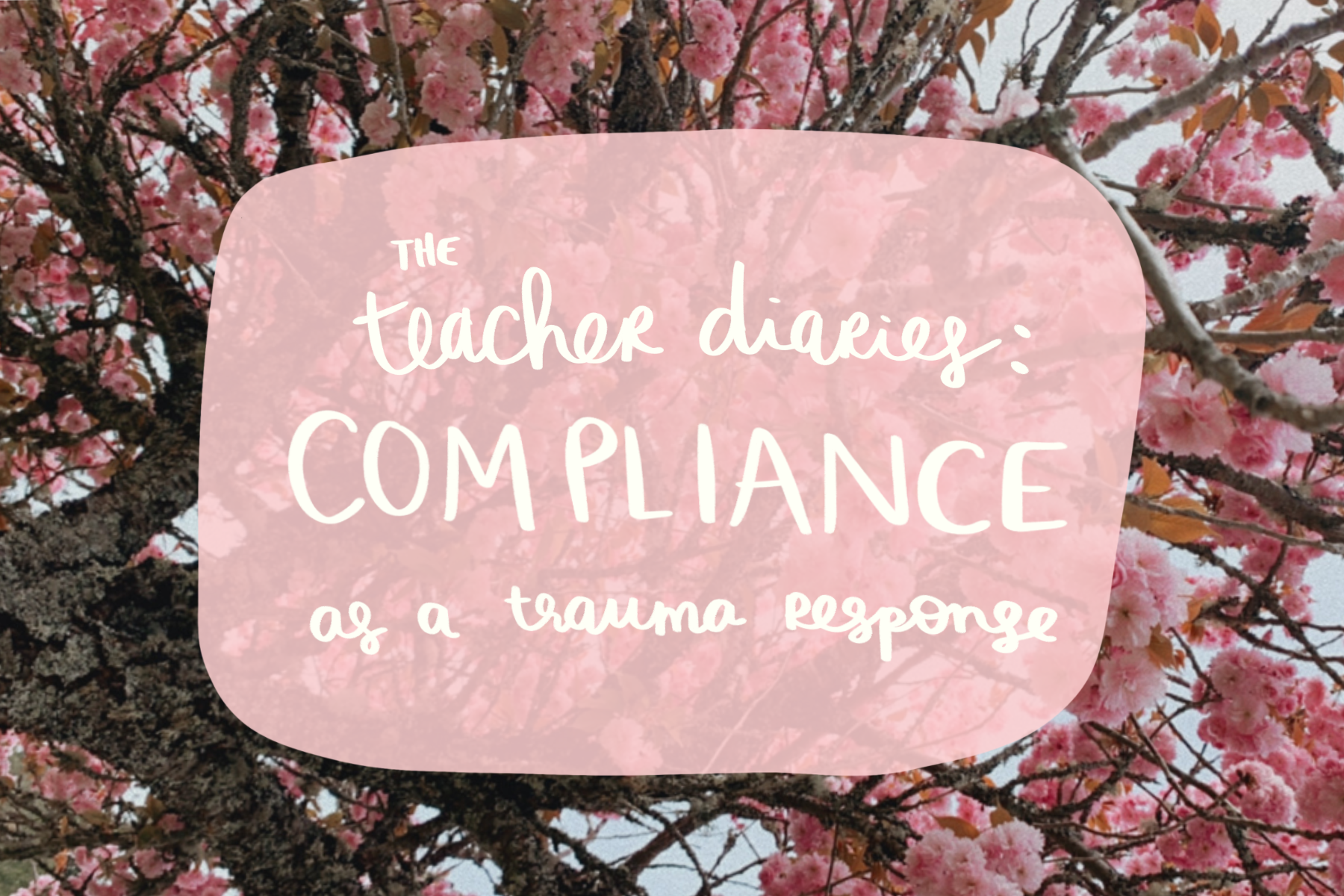 Teacher Diaries: Part of the "advocacy edit" on Teacher Dress Code discussing teacher trauma, whistleblowing in education, and special education rights and laws.